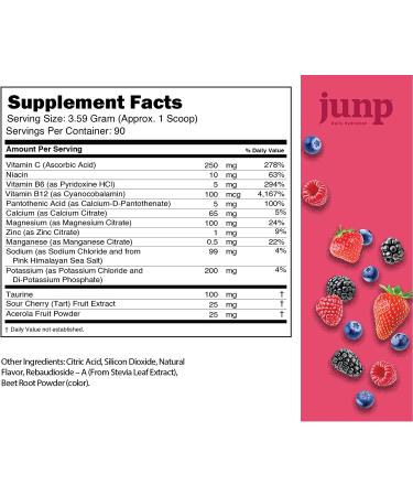 JUNP Hydration Electrolyte Powder | Zero Calories, Sugar & Carbs | Kosher | Wild Berry Flavor | 90 Servings - Buy Online on GoSupps.com