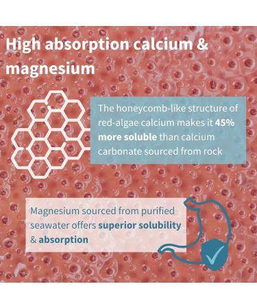 Plant-Based High Absorption Algae Calcium & Magnesium Supplement with K2 & D3 for Bone Support - Vegan, Non-GMO, 60 Tablets by Igennus - Buy Online on GoSupps.com