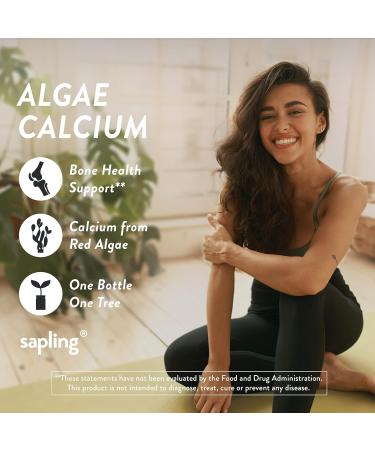 Algae Calcium & Vitamin B Complex Bundle - Essential Nutrients for Health and Wellness - Buy Online on GoSupps.com