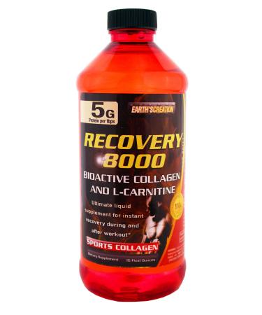 Protein+Carnitine Recovery 8000