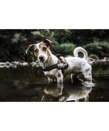 Buy K9 Powergeschirr Size M/0 - Camouflage Dog Harness for Optimal Comfort | International Shipping Available - Buy Online on GoSupps.com