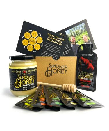 Sun River Honey Flavoured Honey Infusions (Variety Pack Energy Gel (24pack) + Lemon Ginger Single Bundle)