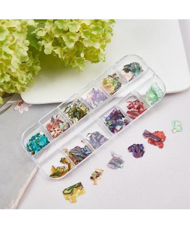 NICENEEDED 12 Colors Abalone Seashell Nail Art Flakes - Style 2 - Buy Online on GoSupps.com