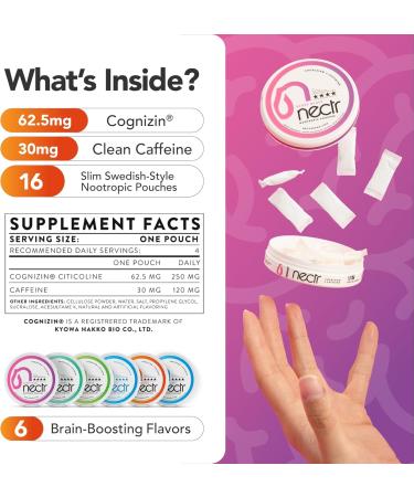 Nectr Energy Nootropic Pouches Fresh Mint Flavored Caffeine Pouches with Cognizin Citicoline. Nicotine-Free Sugar-Free Brain Treats. Smooth Sustained Focus & Energy Supplement - 5 Pucks of 16pcs Fresh Mint 5 Count (Pac  - Buy Online on GoSupps.com