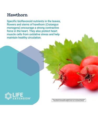 Life Extension Cardio Peak - Heart Health Support with Hawthorn & Arjuna Extract - 120 Capsules | Gluten Free, Non-GMO, Vegetarian - Buy Online on GoSupps.com