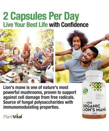 PlantVital Lions Mane Supplement Capsules - Organic Lion s Mane Mushroom Supplements with 40% Polysaccharides - Supports Immune Health and Antioxidants - 240 Count Lion's Mane 240 count (Pack of 1) - Buy Online on GoSupps.com
