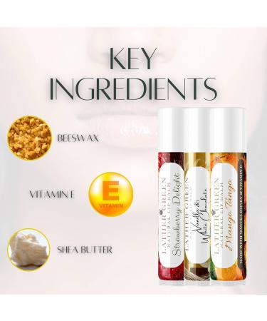 Caramel Apple Natural Lip Balm Moisturizing Lip Care Stick with Shea Butter & Vitamin E Plant-Based Tint-Free Lip Balm Suitable for All Ages - Pack of 3 Caramel Apple 1 Count (Pack of 3) - Buy Online on GoSupps.com