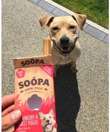 Soopa Cranberry and Sweet Potato Dental Sticks Dog Treat 100 g - Buy Online on GoSupps.com