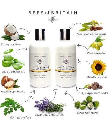 99% Natural SHAMPOO with CASTOR MORINGA ARGAN & LAVENDER OILS - 250ml by BEES of BRITAIN - Sulphate Free Paraben Free. 5% of Profits Donated to Help Save Bees and Pollinators. - Buy Online on GoSupps.com