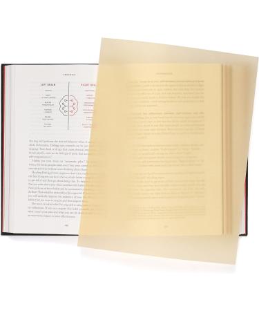 Quotidian Pale Gold Vellum Paper Sheets 8.5x11 inch 100gsm - Pack of 50 | Translucent Printable Tracing Paper for Sketching and Drawing - Buy Online on GoSupps.com