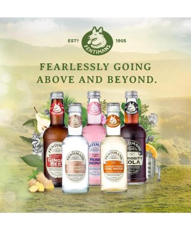 Fentimans Ltd Fentimans Gently Sparkling Elderflower Botanically Brewed Drink Beautifully Crafted and Refreshing Soft Drinks Gluten Free and Vegan Soft Drinks 12 x 275ml Bottles - Buy Online on GoSupps.com