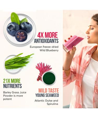 Numami Organic Detox Blueberry Smoothie Powder with Healthy Spirulina Atlantic Dulse and Barley Grass Juice Powder Premium Quality superfood from Europe Blueberry Powder 4 Ounce (Pack of 1) - Buy Online on GoSupps.com