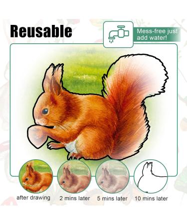 Futreo Dementia Activities for Seniors - 50 Reusable Water Painting Toys with Brush | Alzheimers Patients Water Games - Buy Online on GoSupps.com