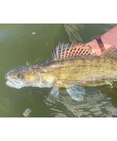 Buy Angel-Berger Wild Devil Baits Flex Silicone Bracelet | Perfect Gift for Fishing Enthusiasts | Global Shipping Available - Buy Online on GoSupps.com