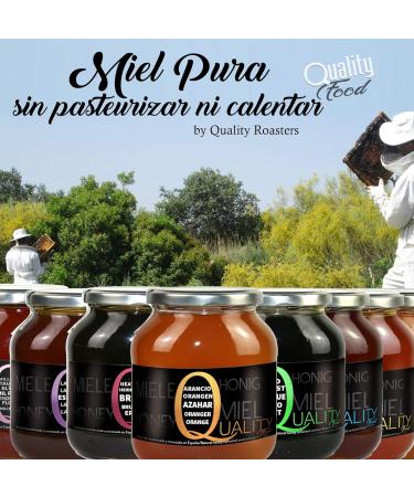 100% Pure Bee Honey. Raw Honey. 1 Kg. Produced in Spain. Unpasteurized and unheated. High quality artisan. Jar - Buy Online on GoSupps.com