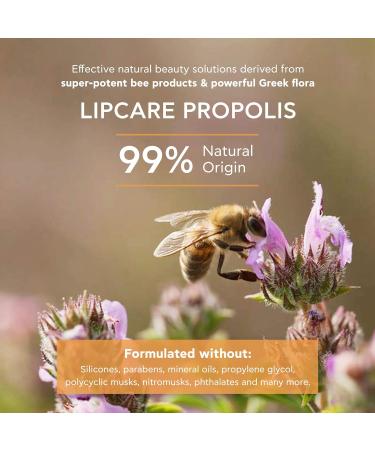 Apivita Lipcare Propolis 4.4 g - Buy Online on GoSupps.com