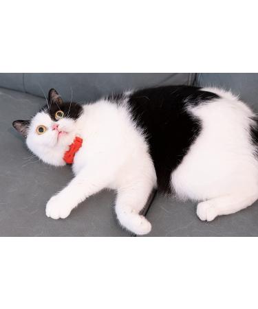 Gyapet Breakaway Cat Collar with Bell - Red Bow Tie for Kitten & Small Puppy - Buy Online on GoSupps.com