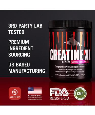 Animal Creatine XL Powder with PurpleForce & Senactiv - Enhanced Creatine Monohydrate Supplement for Endurance and Recovery - Watermelon Flavor - 9.84 oz - Buy Online on GoSupps.com