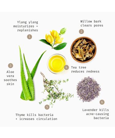 Botanic Tree Glycolic Acid KP Exfoliating Body Scrub - Smooth Rough & Bumpy Skin - Keratosis Pilaris Treatment - Acne Body Wash - 6 Fl Oz - Buy Online on GoSupps.com