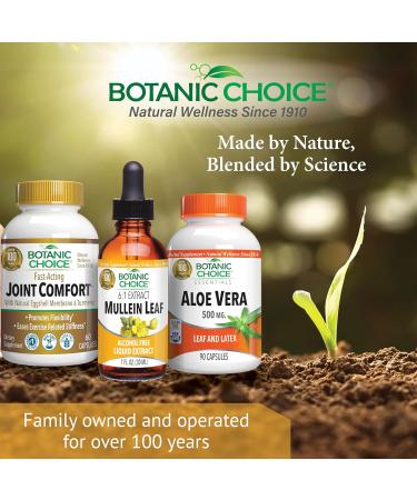 Botanic Choice Mullein Leaf Liquid Extract Alcohol Free Gluten Free Traditional Respiratory Support 1 Fl. Oz. - Buy Online on GoSupps.com