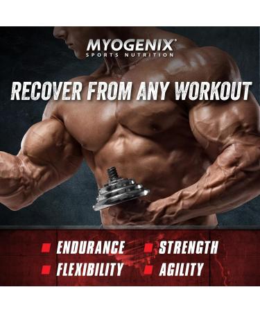 Myogenix Aftershock Post Workout Muscle Growth Whey Protein Powder Speeds Up Muscle Growth and Recovery Supports Joint Health and Replenishes Glycogen Fruit Punch 6 lbs Fruit Punch 6 Pound - Buy Online on GoSupps.com