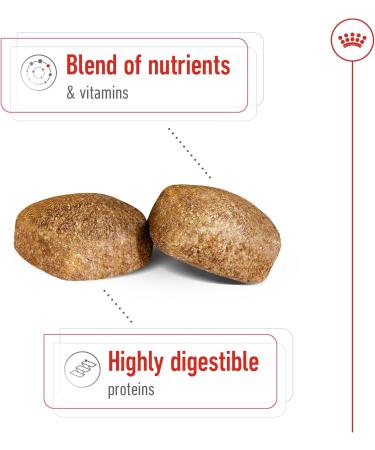 Royal Canin Dog Food Giant Adult 4kg - Buy Online on GoSupps.com