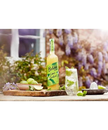 Belvoir Farm Lime Cordial - 100% Natural & Vegan-Friendly | Zesty Citrus Taste | 6 x 500ml Bottles - Buy Online on GoSupps.com