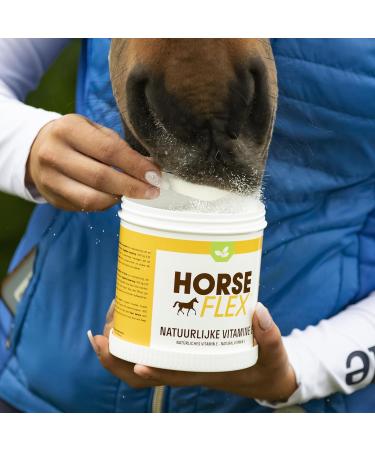 Natural Vitamin E Powder for Horses - Horse Flex 540g | Supports Muscle Health & Fertility - No Added Selenium - Buy Online on GoSupps.com