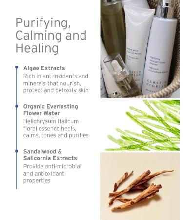 Kerstin Florian Rehydrating Algae Gel Masque | Hydrating Face Mask for Dry Skin | Nourishing Plant Extract Treatment (2.7 fl oz - Buy Online on GoSupps.com