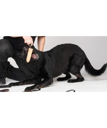 Shop Dingo Gear S00225 Handmade Biting Cord - Beige Coated Leather for IPO Agility Training | 15 cm Robust Dog Training Tool - Buy Online on GoSupps.com