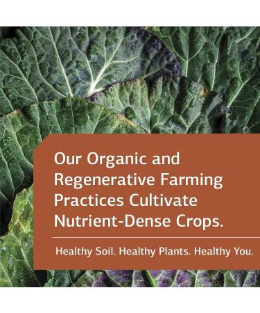 Standard Process Linum B6 - Hormone & Brain Health Support - 120 Softgels - Buy Online on GoSupps.com