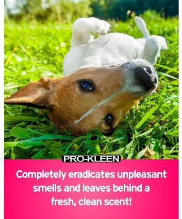 Pro-Kleen Kennel Disinfectant Cleaner & Deodoriser (Cherry Fragrance) - 5L Pack - Tested according to DVG (German Veterinary Medical Society) 5 l (Pack of 1) - Buy Online on GoSupps.com