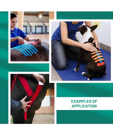 VetkinTape Canine & Equine Kinesiology Tape | Veterinary Medical Tape for Joint Support | Self-Adhesive Vet Wrap | Black 2.4in | Pack of 1 - Ultimate Pet Care Solution - Buy Online on GoSupps.com