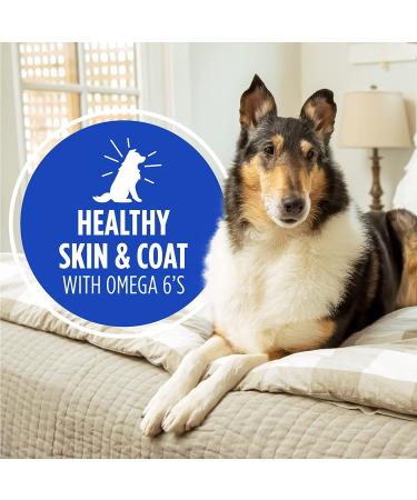 IAMS Proactive Health Wet Dog Food 12 Count 13 oz Cans Senior Chicken & Rice - Pack of 12 - Buy Online on GoSupps.com