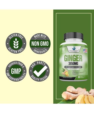 Organic Ginger Root Capsules 3850mg - Immune Support Supplement with Ginger Powder for Digestive Health - 90 Veg Capsules - Buy Online on GoSupps.com