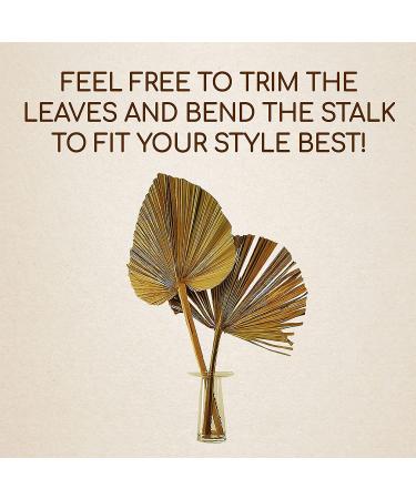 Natural Dried Palm Leaves Decor - Rustic Boho Home Farmhouse Decor - Vase Fillers and Wall Decor Set - Buy Online on GoSupps.com