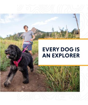 RUFFWEAR Front Range Reflective No Pull Dog Harness - Blue Moon X-Small | International Shipping Available - Buy Online on GoSupps.com