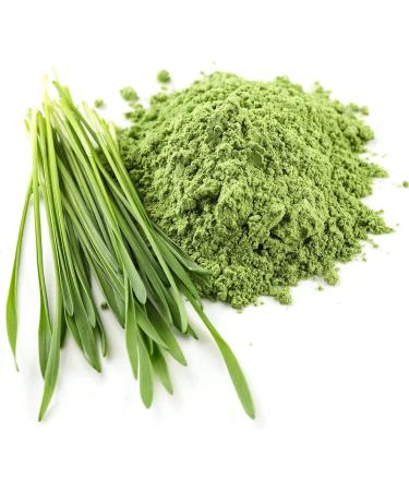100% Organic Barley Grass Powder 500g | Raw Food Quality | German Superfood | Intensive Green Dried & Ground - Buy Online on GoSupps.com
