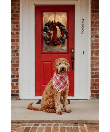 Lionheart Glory Dog Halter Adjustable Cotton Christmas Neckerchief for Large Dogs | Red Dog Kerchief | 1 Pack - Buy Online on GoSupps.com