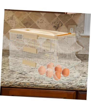 PRETYZOOM Egg Holder Fridge Egg Storage Box Eggs Refrigerator Fridge Kitchen Egg Holder Egg Holes Trays Portable Egg Carton - Buy Online on GoSupps.com