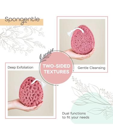 Spongentle 2-Pack Ultra Soft Body Loofah Sponge - Natural Colors, Gentle Cleansing & Deep Exfoliation for Bath & Shower - Buy Online on GoSupps.com