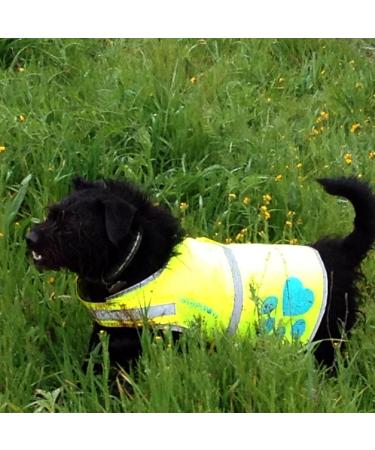 SafetyPUP XD Dog Safety Vest - Neon Yellow | Fits 14-130 lbs | Best Dog Safety Gear for All Sizes - Buy Online on GoSupps.com