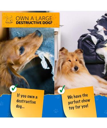 Perky Tails Indestructible Dog Toys for Large Dogs - Large Dog Toys Built for Aggressive Chewers & Canine Vision - Hard Dog Toys with Delicious Bacon Flavour 1-pack Single Pack Large - Buy Online on GoSupps.com
