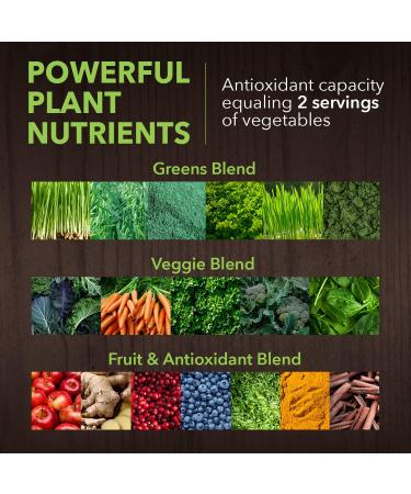 PlantFusion Fruitful Super Greens Powder - Organic Fermented Juice Blend with Probiotics Prebiotic Fiber & Digestive Enzymes Non-GMO Vegan Gluten-Free - 30 Servings - Buy Online on GoSupps.com