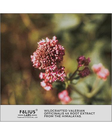 FOLIUS LABS Valerian Root 4:1 Extract Capsules 750mg Optimized Active Purity 4X Concentration Valerian Root Extract Supplement - Gluten Free Non-GMO - Promotes Relaxation - 120 Capsules - Buy Online on GoSupps.com