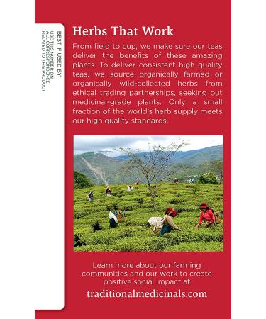 Organic Echinacea Plus Tea - Caffeine Free, 16 Wrapped Bags | Traditional Medicinals - Buy Online on GoSupps.com