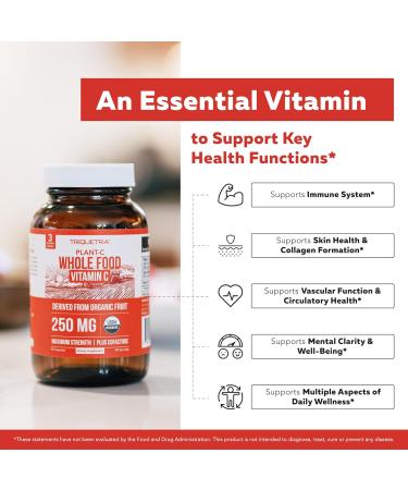 Magnesium (60 ct) Plant D3 5000 IU + K2 MK-7 (60 ct) & Whole-Food Vitamin C (90 servings) Bundle | Vegan Supplements for Energy Muscle & Immune Support | USDA Organic Non-GMO Gluten-Free - Buy Online on GoSupps.com