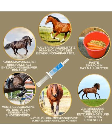 MSM Horse Willow Bark Horse Equi P Vitamin Paste Plus Glucosamine Chondroitin High Dose Horse Vitamin C Brewer's Yeast - Musculoskeletal System Joints Tendons Ligaments Cartilage 2pc - Buy Online on GoSupps.com