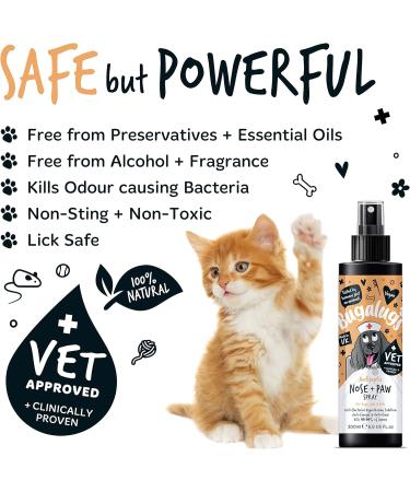 BUGALUGS Nose & Paw Dog Antiseptic spray 200ml Antibacterial Antifungal for Dogs Cats & Pets -for Dry Paws Cracked Skin use alongside our dog paw balm & dog nose balm (Antiseptic Spray 200ml) - Buy Online on GoSupps.com