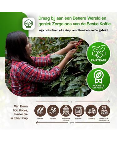  BRIZIO Brizio Lungo Aluminium Coffee Pods Pack of 20 - Buy Online on GoSupps.com